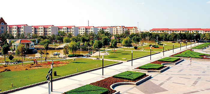 黃驊市南排河鎮(zhèn)趙家堡、賈家堡村民聯(lián)建工程