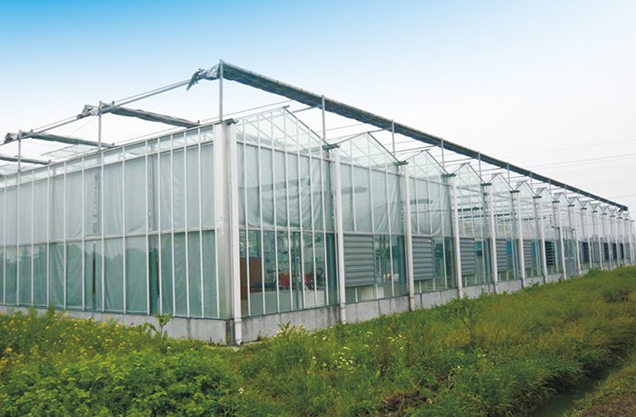 57cfd57616dcf.jpg 1副本.jpg