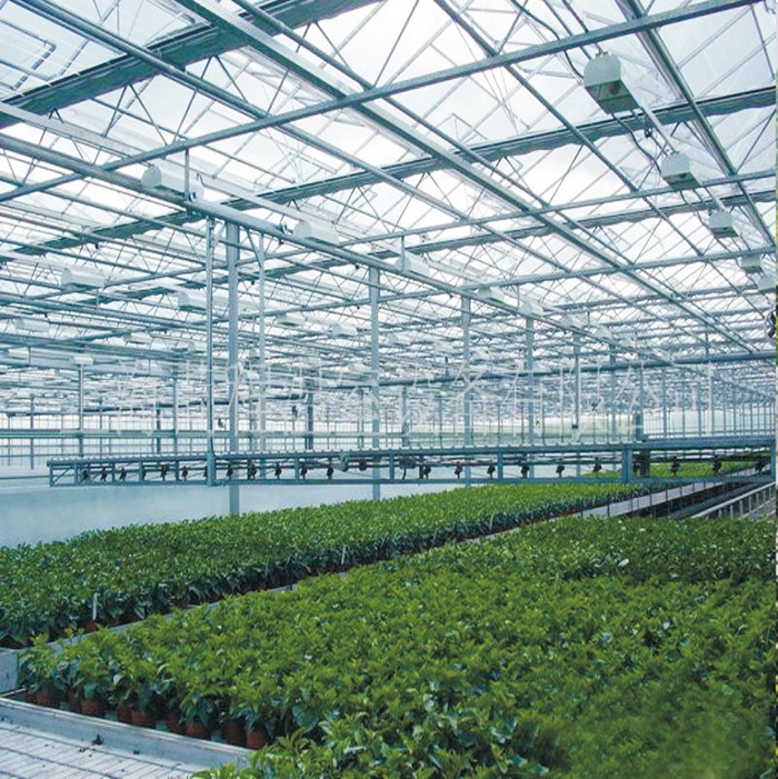 57cfd6689a44f.jpg 河北國富恒聯(lián)農(nóng)牧有限公司元氏縣蔬菜基地工程.jpg